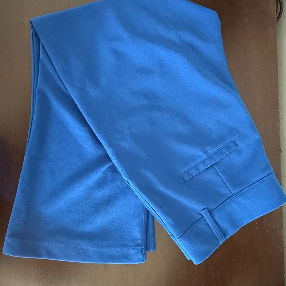 Sincerely Jules Blue Cropped Pants